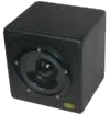 referentni monitor